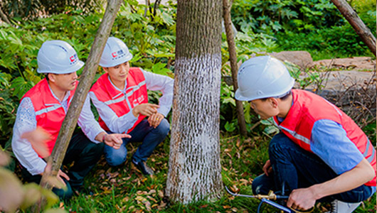 产品通过监管部门批准，低毒的卫生用药