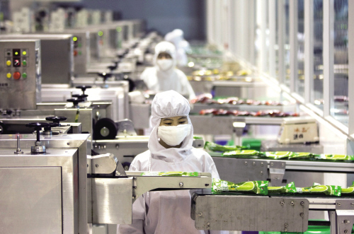 食品厂灭鼠杀虫